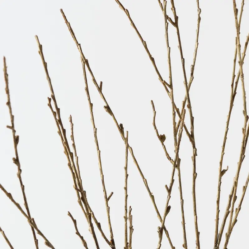 Natural Twig Spray – Rustic 12-Piece Branch Bundle 1