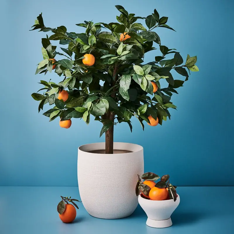 Orange Tree Artificial Plant – Dual-Piece Decor Set 1