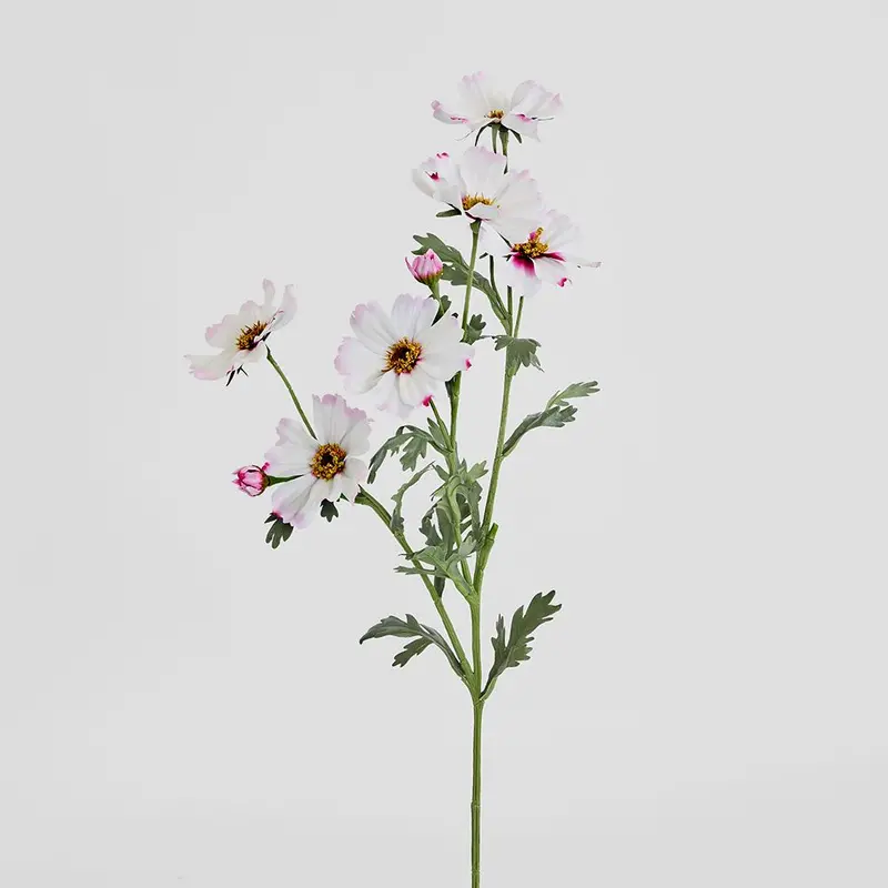 Pale Pink Cosmos Spray – 85 Cm Stem 1