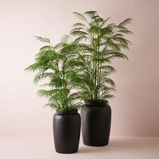 Palm Phoenix Artificial Plant Set – 2-Piece Decorative Arrangement 1