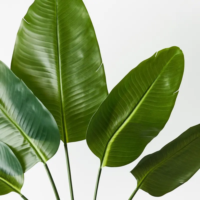 Palm Traveller Fronds – Tropical 6-Stem Bundle 1