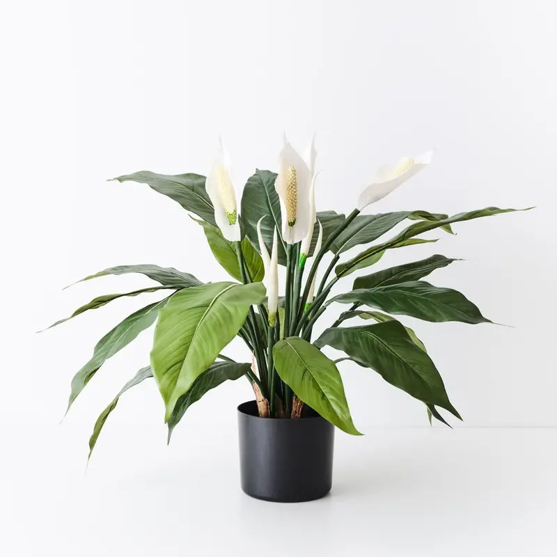 Peace Lily (Spathiphyllum) Artificial Plant – 2-Stem Set 1