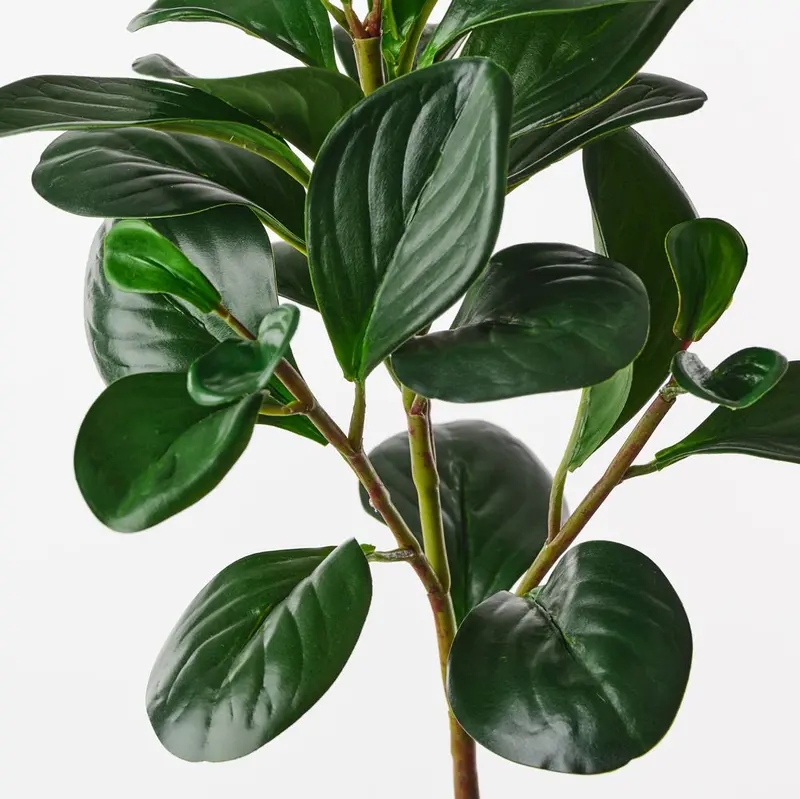 Peperomia Artificial Spray – 12-Piece Set 1