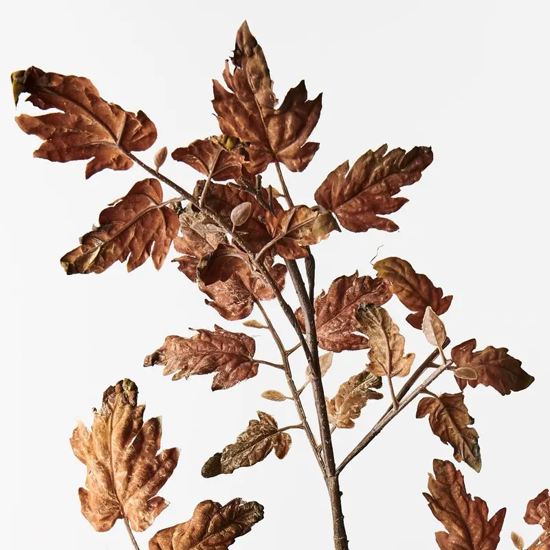 Perilla Herb Leaf Spray – 12-Stem Culinary-Inspired Arrangement 1