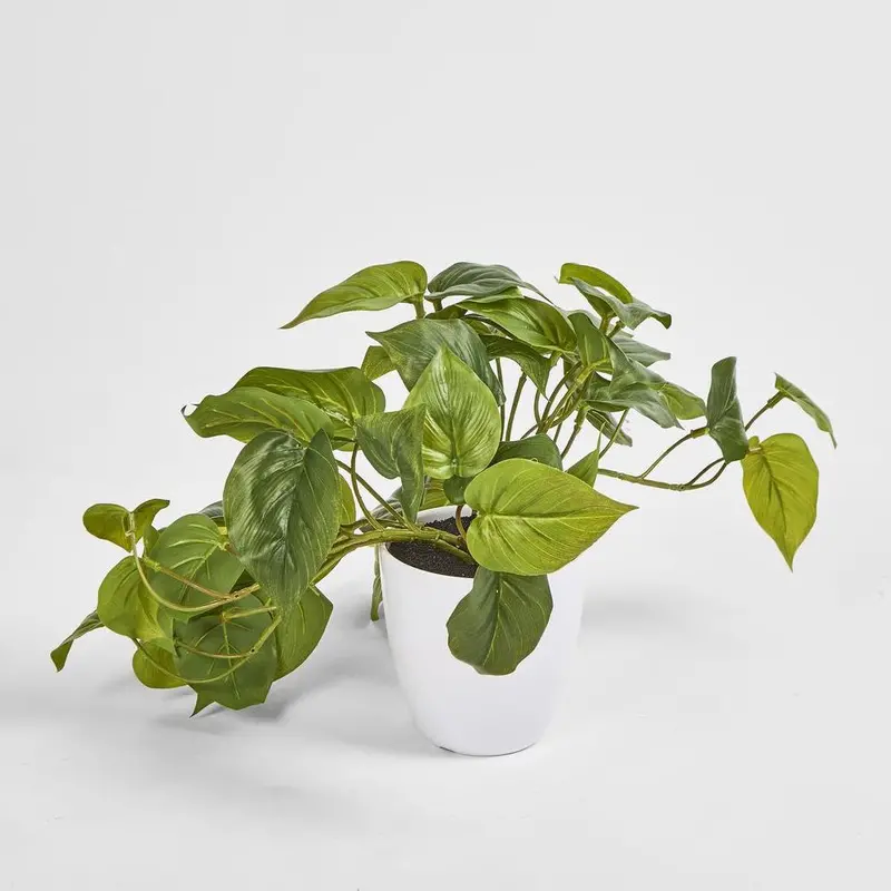 Philo Leaf Hanging Plant In Matte White Pot 1
