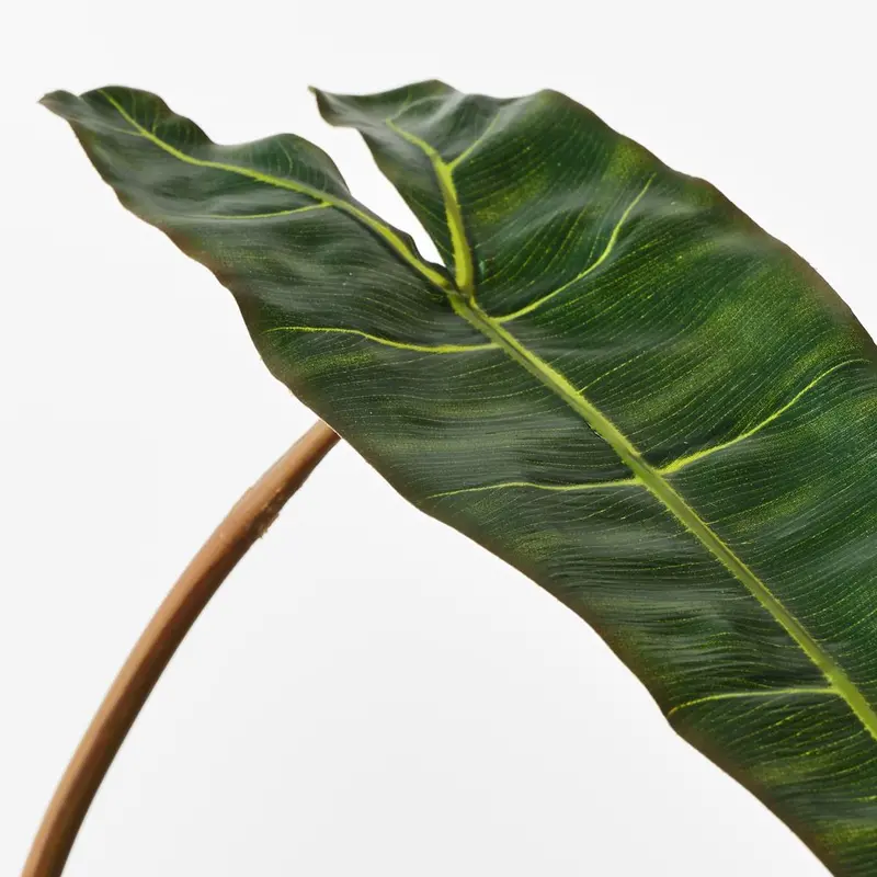 Philodendron Leaf Garland – 12-Piece Set 1