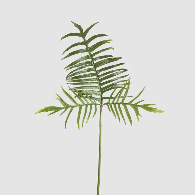 Philodendron Tortum Leaf Spray – 81Cm Curled Tropical Foliage Accent 1