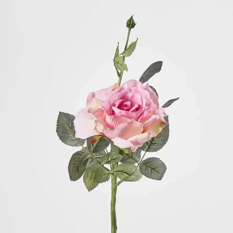 Pink Queen Rose – 35 Cm 1