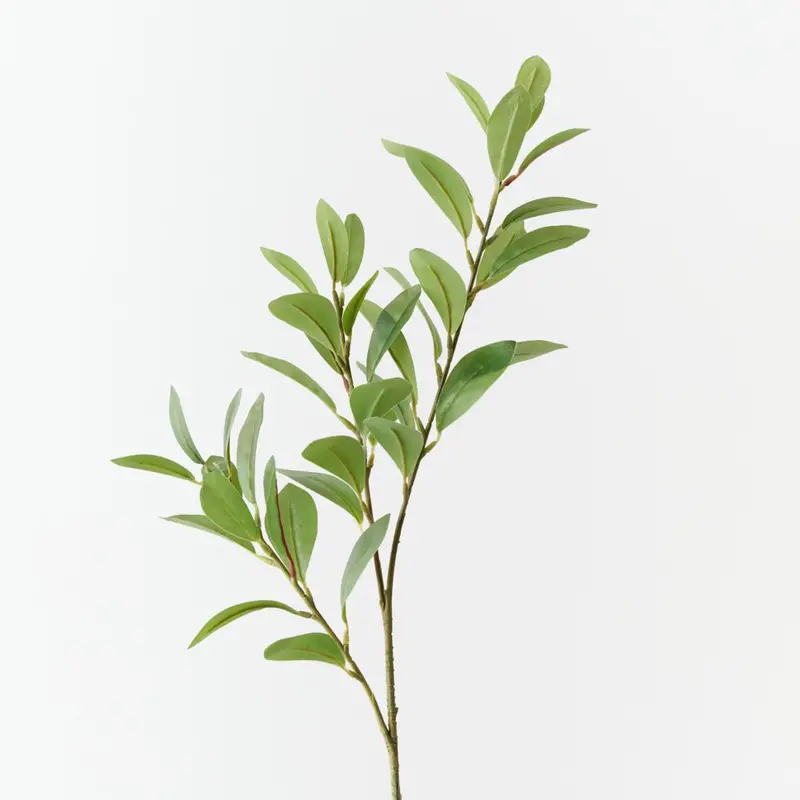 Pittosporum Foliage Spray – Premium 12-Piece Greenery Set 1