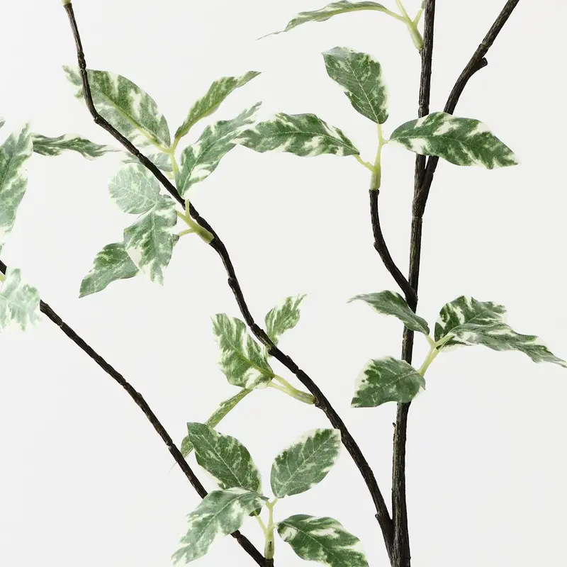 Pittosporum Leaf Spray – 12-Stem Artificial Foliage 1