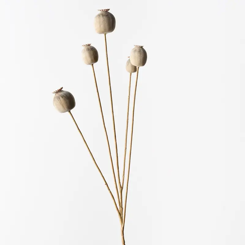 Poppy Pod Floral Spray – 12-Stem Set 1