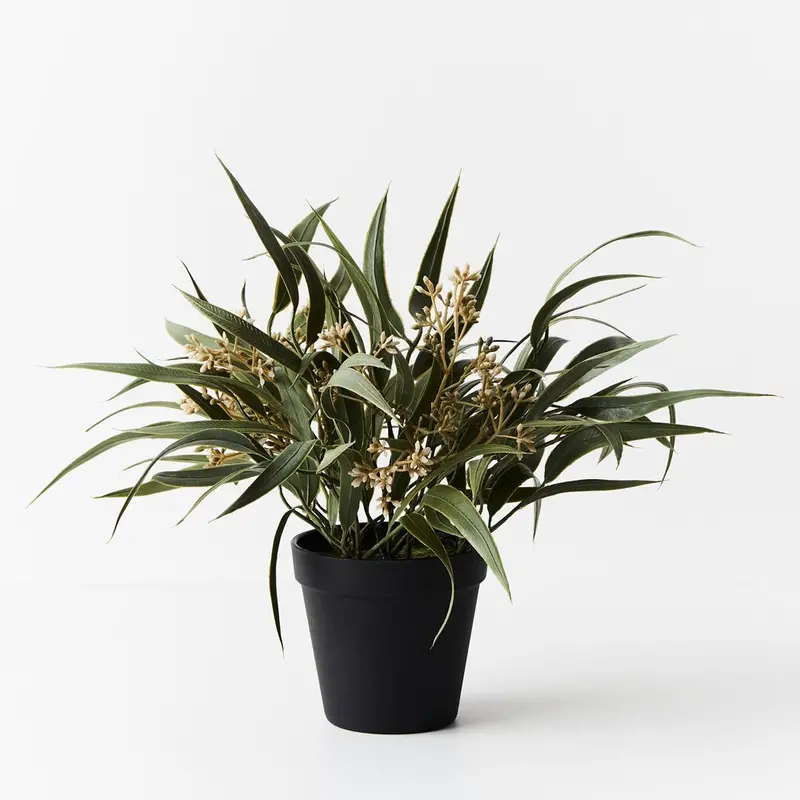 Potted Eucalyptus Seed Bush – 6-Piece Dried-Style Greenery Set 1
