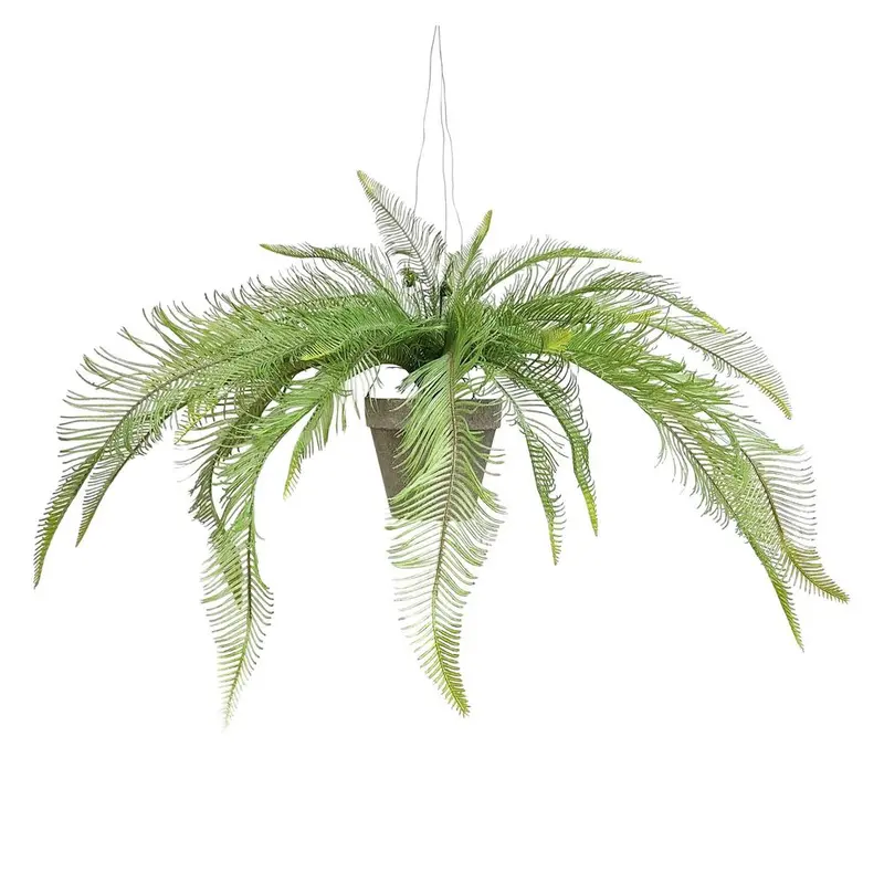 Potted Hanging Fern – Lush Green Indoor Accent 1