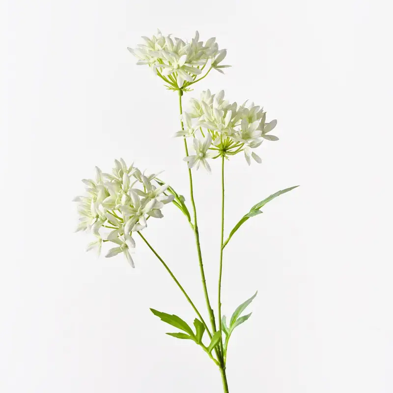 Premium Agapanthus Floral Spray – 12-Stem Pack 1