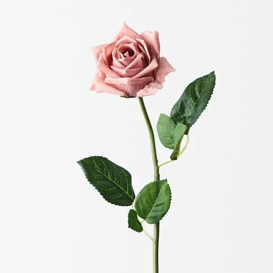 Premium Lola Rose Bouquet Stems (12 Pcs) 1