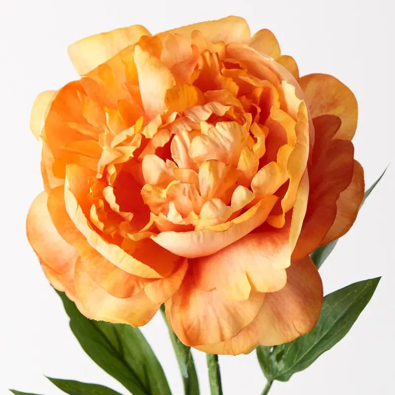 Premium Peony Faux Blooms – 12-Piece Set 1