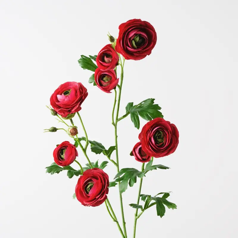 Ranunculus Silk Flower Stems – 12-Stem Assortment 1