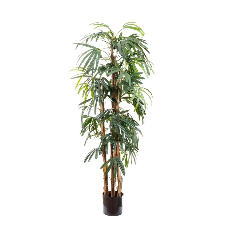 Raphis Palm Artificial Plant – Slender Leaf Silhouette, 1.7M Height 1