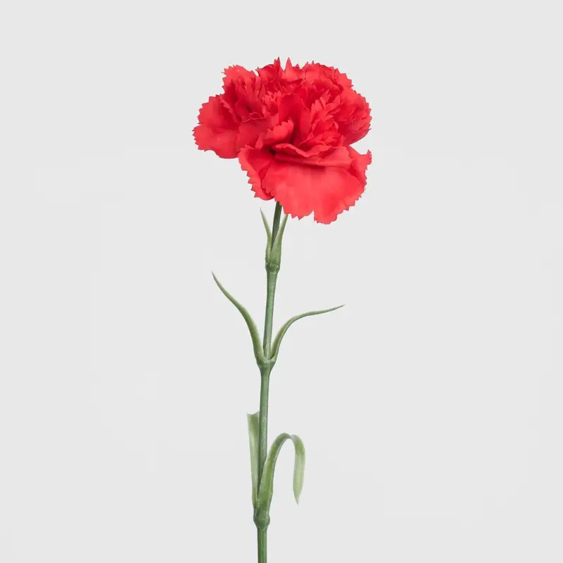Real-Touch Red Carnation Stem – High-Fidelity Faux Floral 1