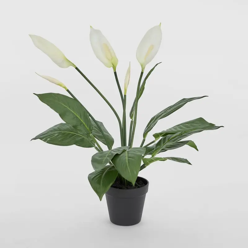 Real-Touch Spathiphyllum Potted Plant – 61Cm Lifelike Peace Lily 1