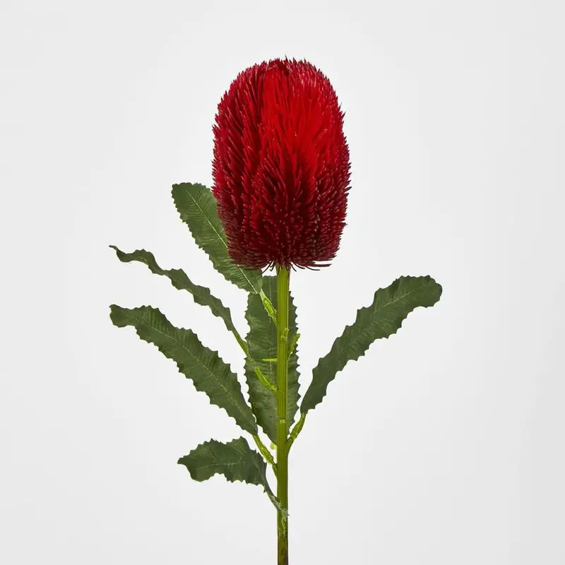 Red Banksia Stem – Realistic Dried Botanical Accent 1