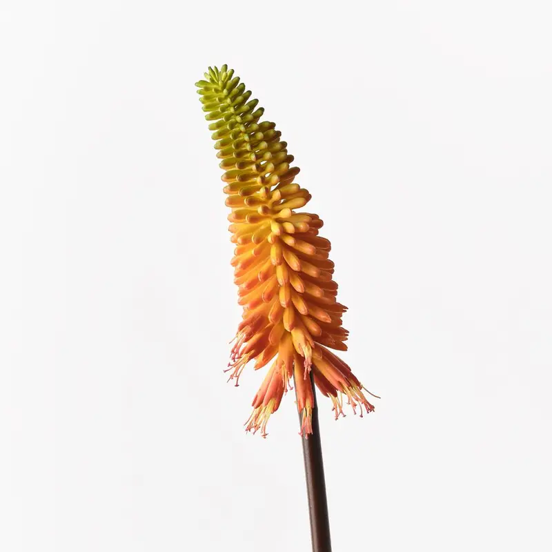 Red Hot Poker Artificial Flowers – Pack Of 12 Stems 1