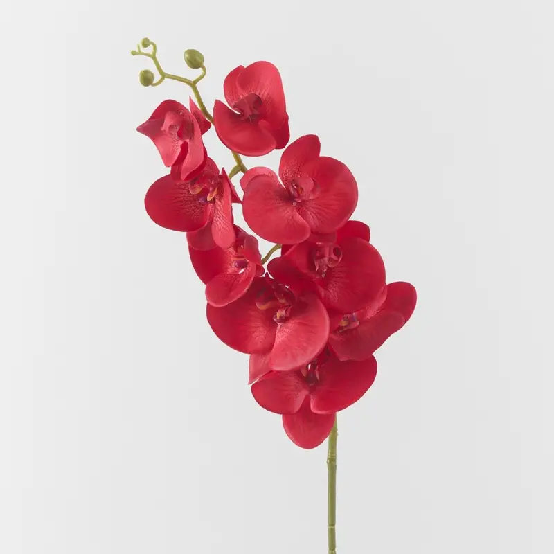 Red Phalaenopsis Orchid Stem Real-Touch 1