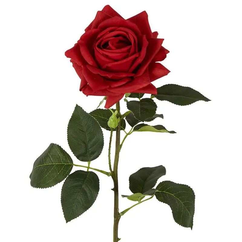 Red Real-Touch Belle Rose Stem – 65 Cm 1