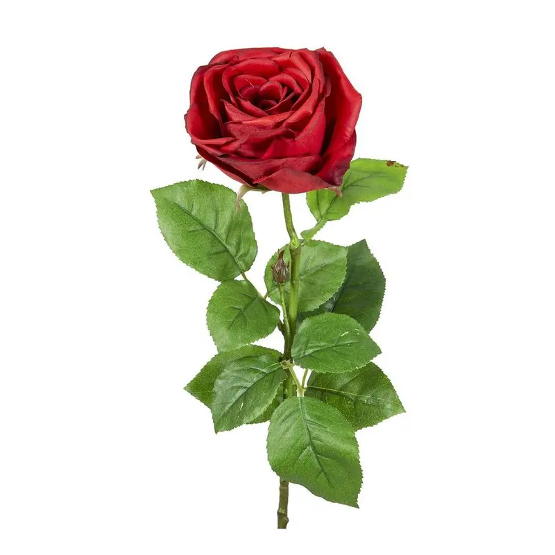 Red Real-Touch Cabbage Rose Stem – 65 Cm 1
