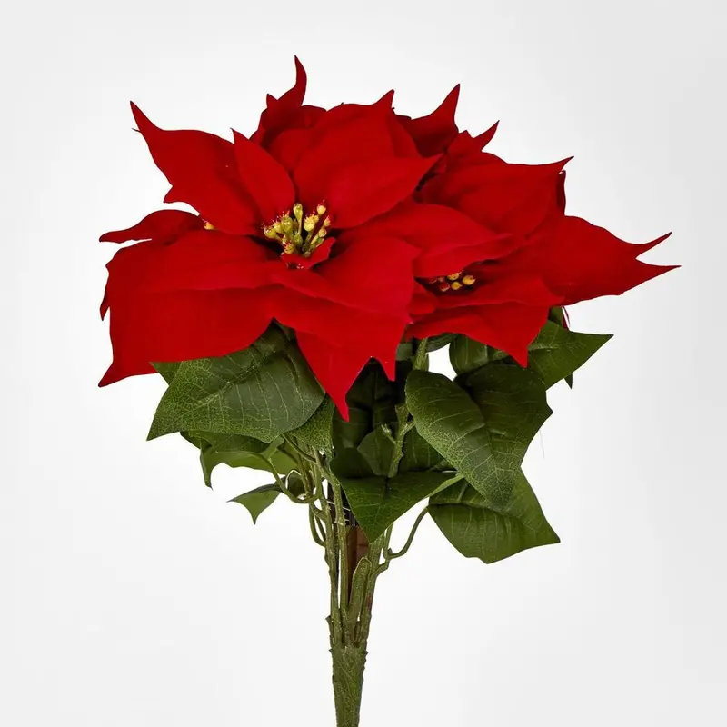 Red Velvet Poinsettia Bush Arrangement – Set Of 5 1