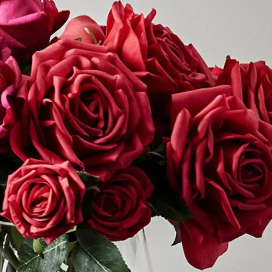 Rose Bella Premium Silk Stems – 12-Unit Bundle 1