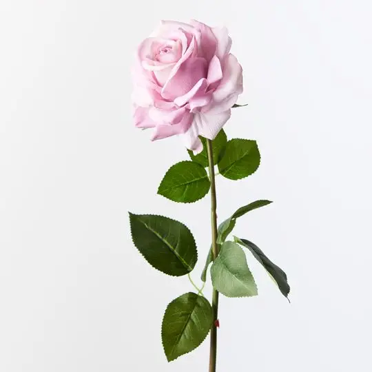 Rose Hannah Stems – 12-Piece Realistic Silk Rose Bundle 1
