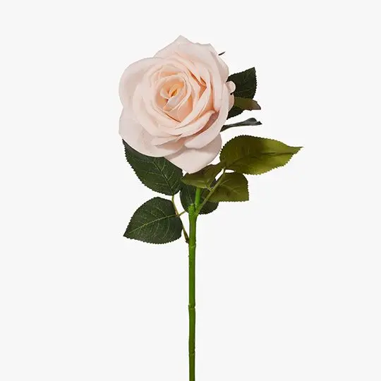 Rose Tessa Artificial Flower Stems – Pack Of 12 1