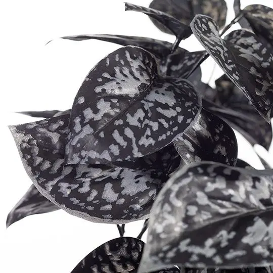 Scindapsus Artificial Hanging Vine – Pack Of 6 1