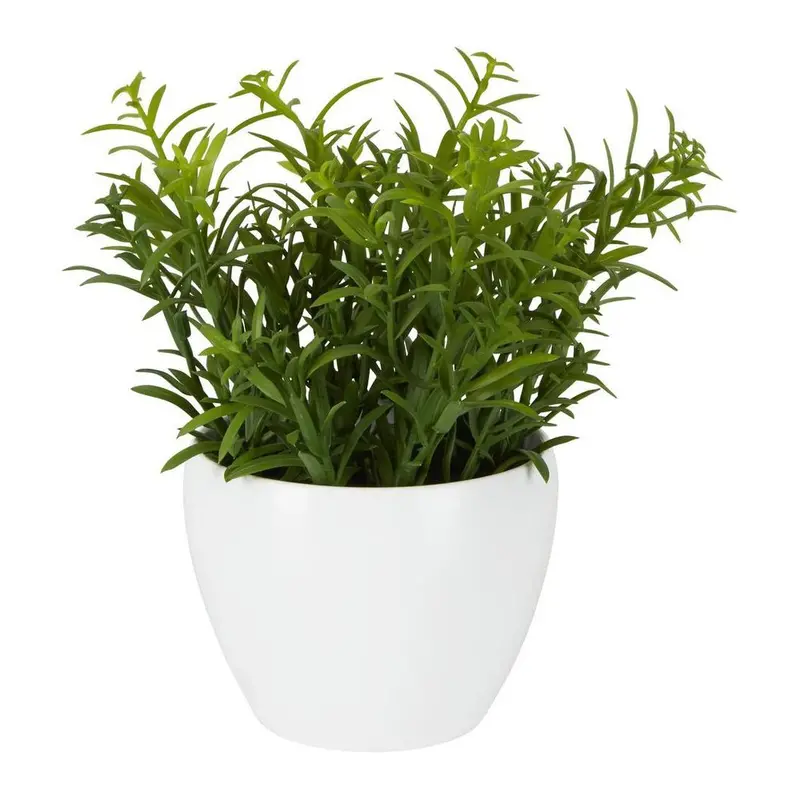 Sedum In White Melamine Pot – Modern Faux Succulent Display 1