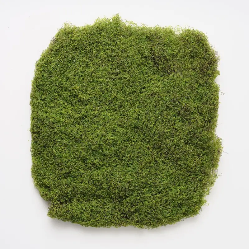 Sheet Moss – 6-Piece Natural-Look Ground Cover Pack 1