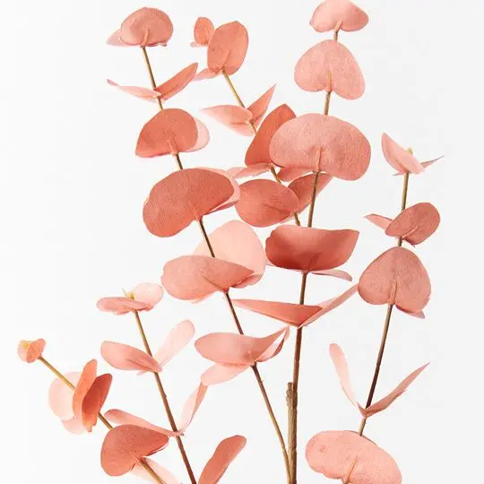 Silver Dollar Eucalyptus Stem Set – 12-Pack Foliage 1