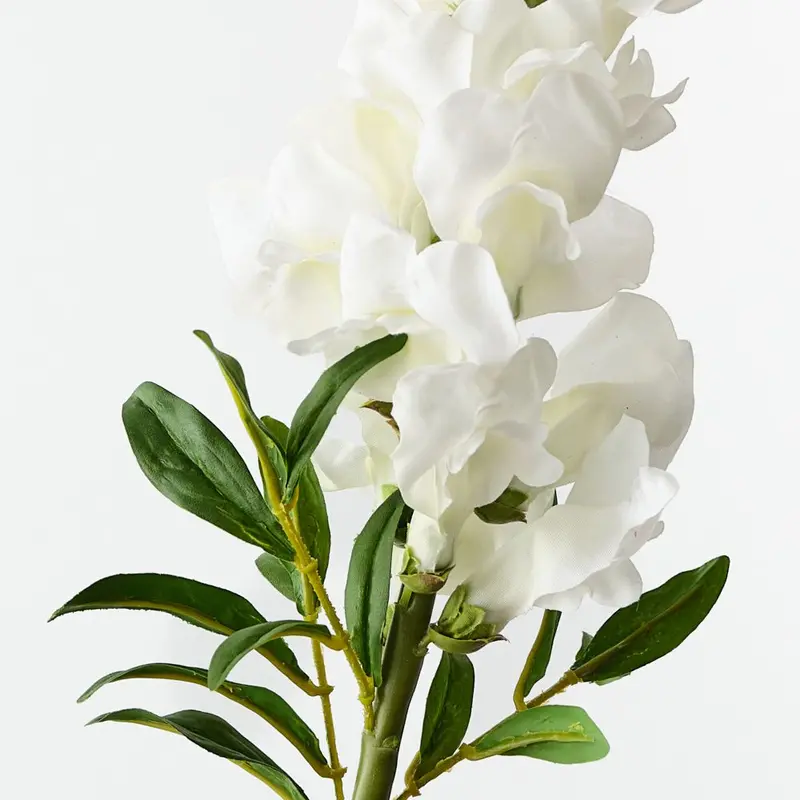 Snapdragon Floral Spray – Vibrant 12-Stem Set 1