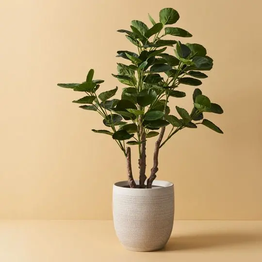 Sondra Decorative Planter – Minimalist Ceramic Pot Set (2-Pack) 1
