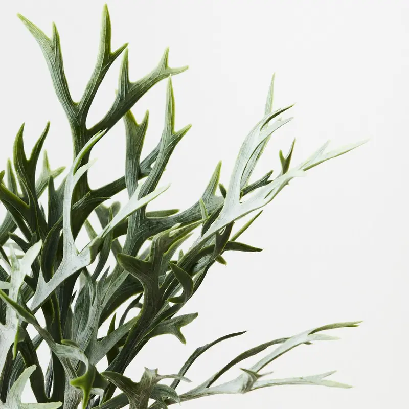 Staghorn Fern Artificial Bush – 12-Stem Pack 1