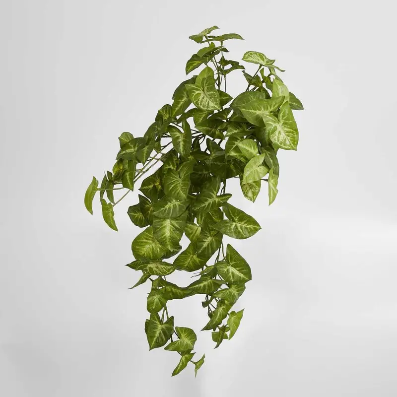 Syngonium Hanging Plant With Real-Touch Foliage 1