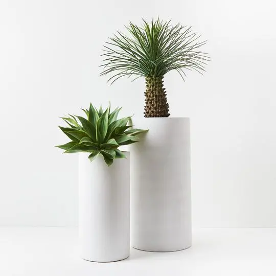 Tall Cylinder Planter Pair 1