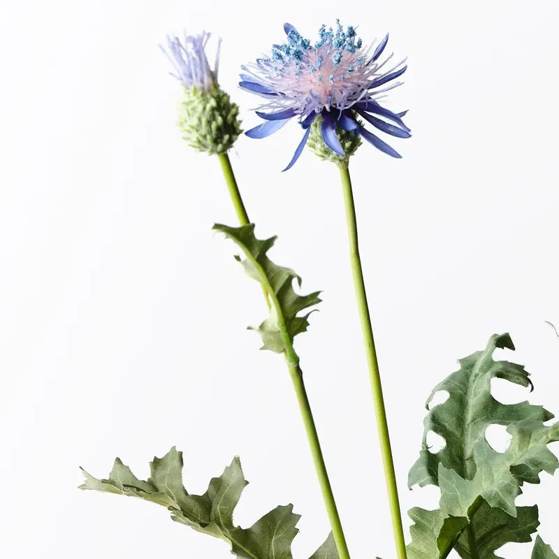 Thistle Stem Bundle – 12-Piece Textured Artificial Spray 1