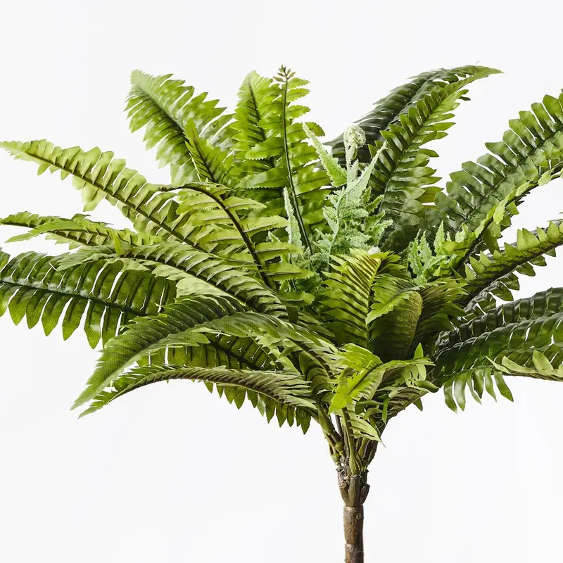 Tropical Boston Fern Bush – 6-Stem Decor Bundle 1