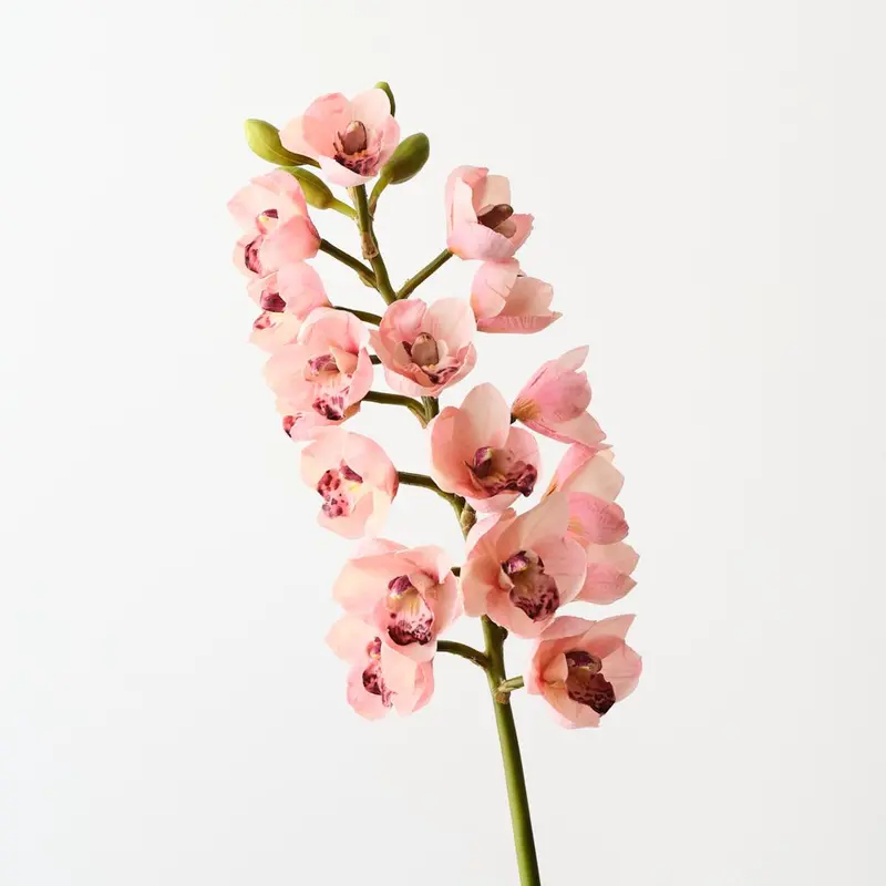 Tropical Cymbidium Orchid Spray – Pack Of 6 Stems 1