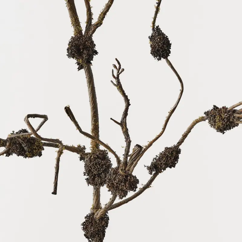 Twig Moss Branches – 6-Piece Naturalistic Foliage Bundle 1