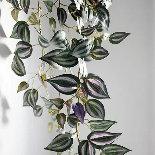 Wandering Jew Hanging Vine – 6-Piece Colorful Trailing Foliage Set 1