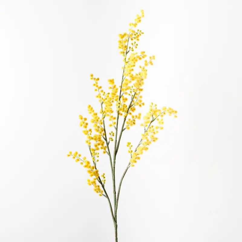 Wattle Flower Spray Bundle (Pack Of 12) 1