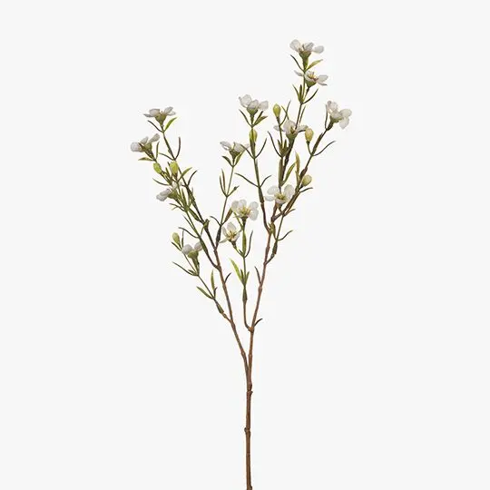 Waxflower Stems – 24-Count Fragrant-Looking Botanical Accent Bundle 1
