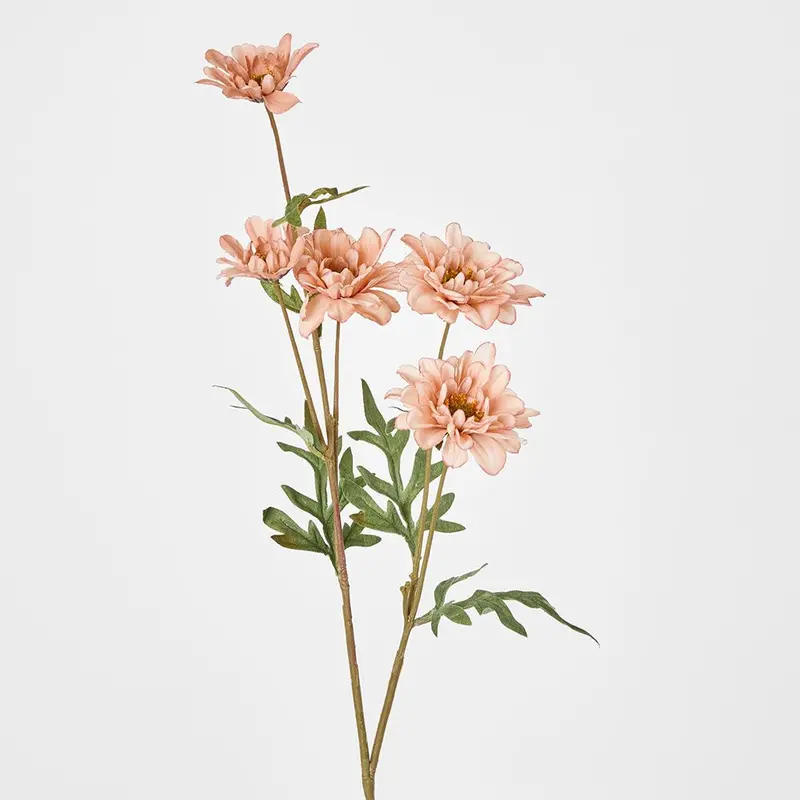 White And Pink Daisy Spray – 75 Cm Height 1